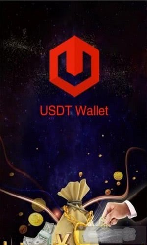 usdt钱包中文版